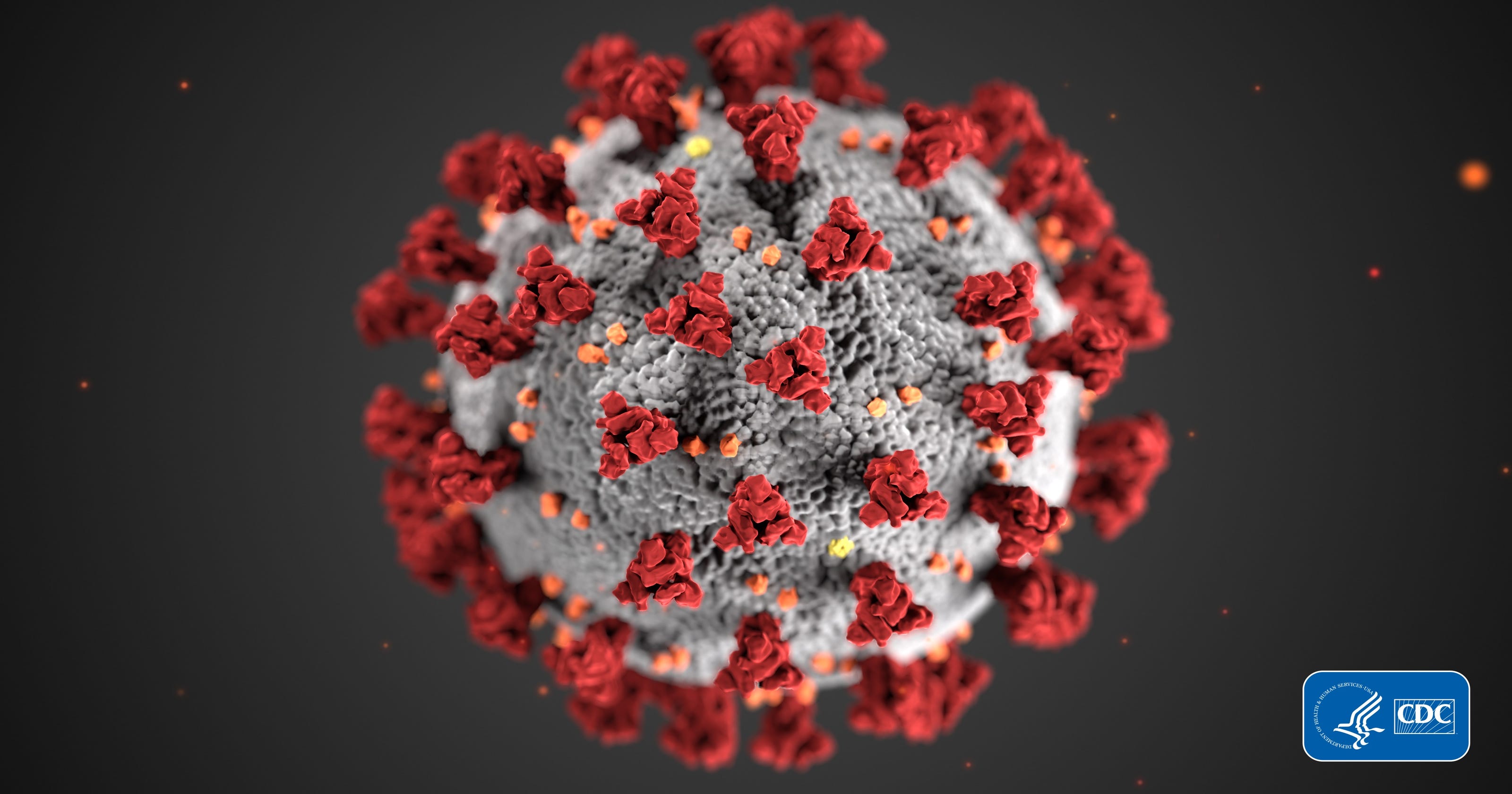 Ny Coronavirus Live Updates Nyc Westchester Li Closing All Schools