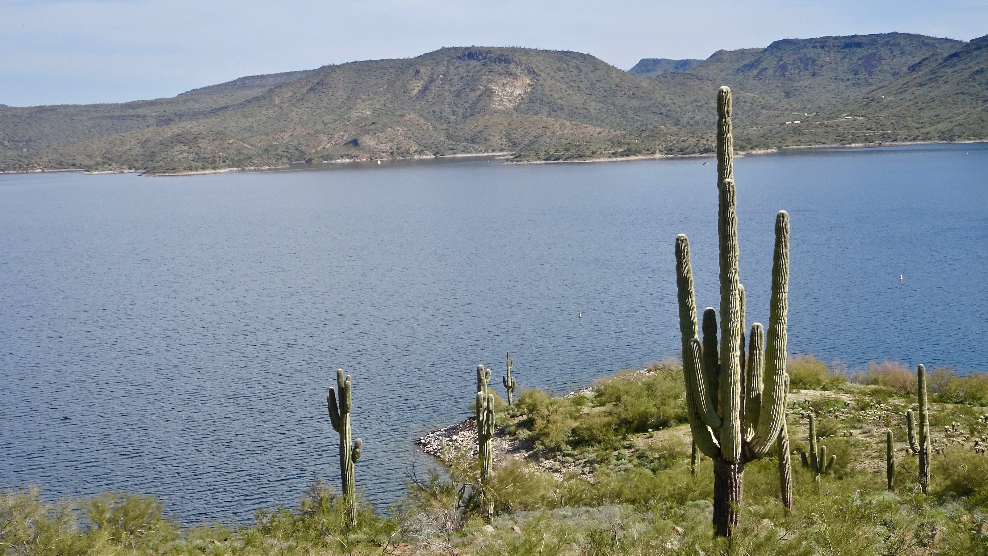 Lake Pleasant Marina, swimming, boat rentals, hiking trails, camping