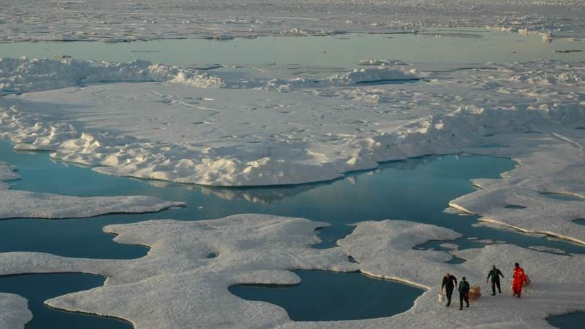 Изображение / фотография