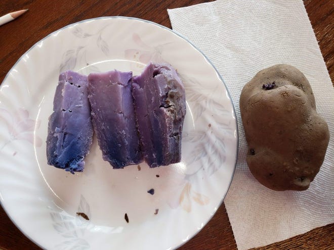 A purple potato, baked and unbaked.