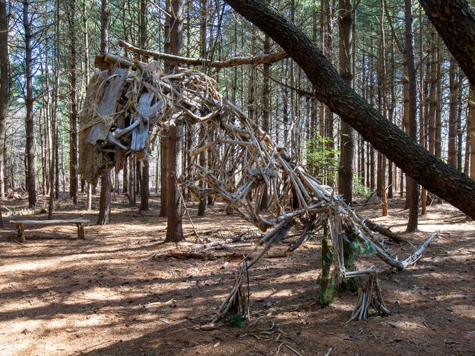 allaire dinosaurs