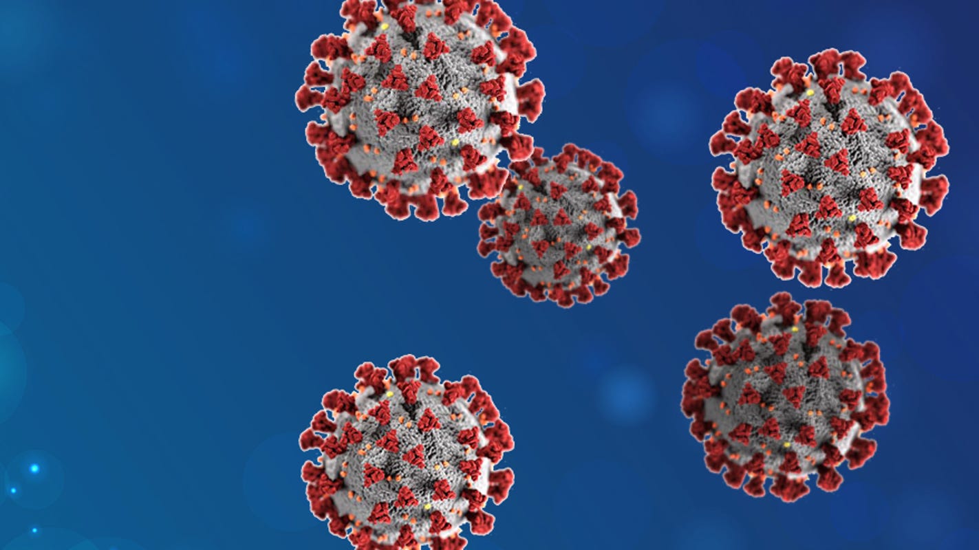 Images Coronavirus In Florida Impacts On Retirees Tourism Travel actualisé