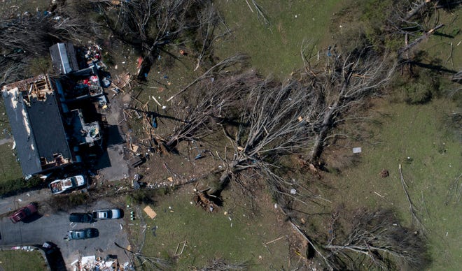 Large trees were uprooted and homes at Stanford Estates, east of Nashville, were damaged by Tuesday's tornado.