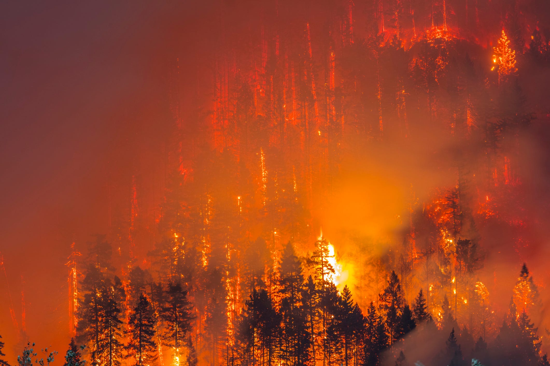 3 recent Oregon wildfires started by people