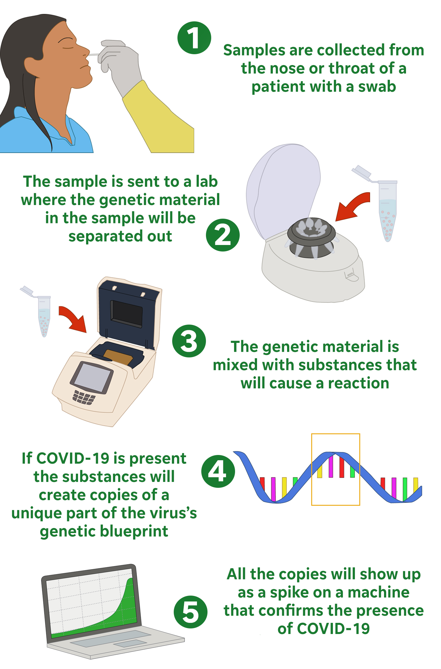 Coronavirus Test Through Nose