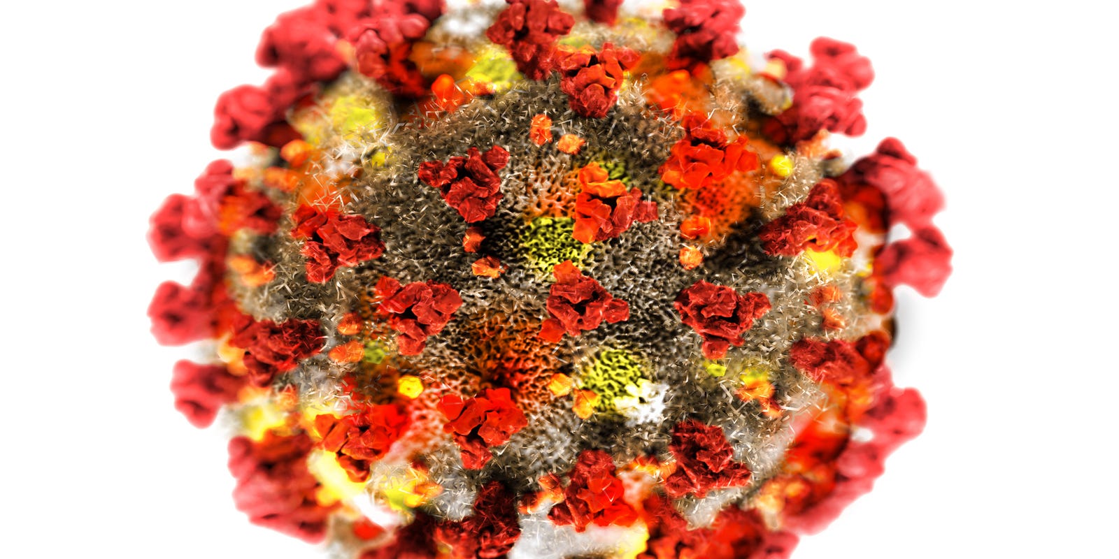 Coronavirus Florida Covid 19 Cases Top 30 000 And Deaths Top 1 000