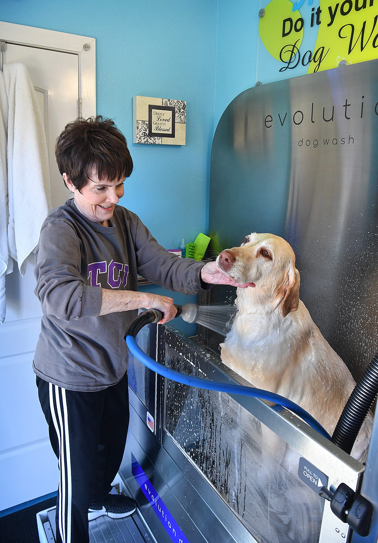 A Dog S Life Paw Spa Splash Is Self Serve Grooming