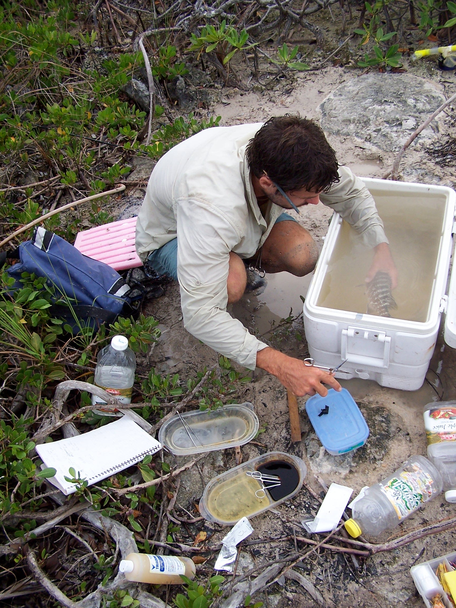 University of Michigan study finds importance of individual fish urine