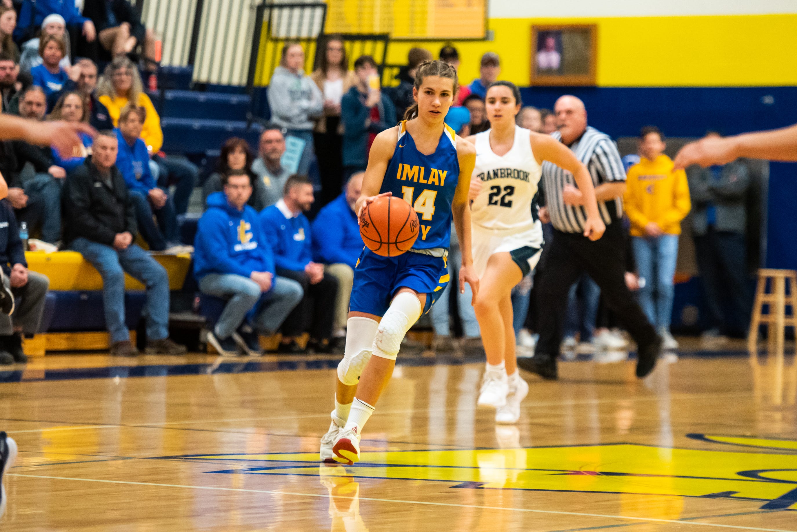 Times Herald Awards 5 Local Basketball Teams Honorary State Titles