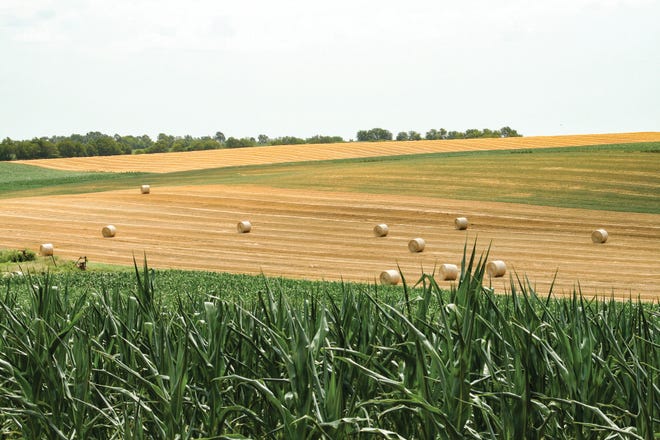 Diversification on the farm can entail everything from the types of crops gown to the contracts used to make crop sales.