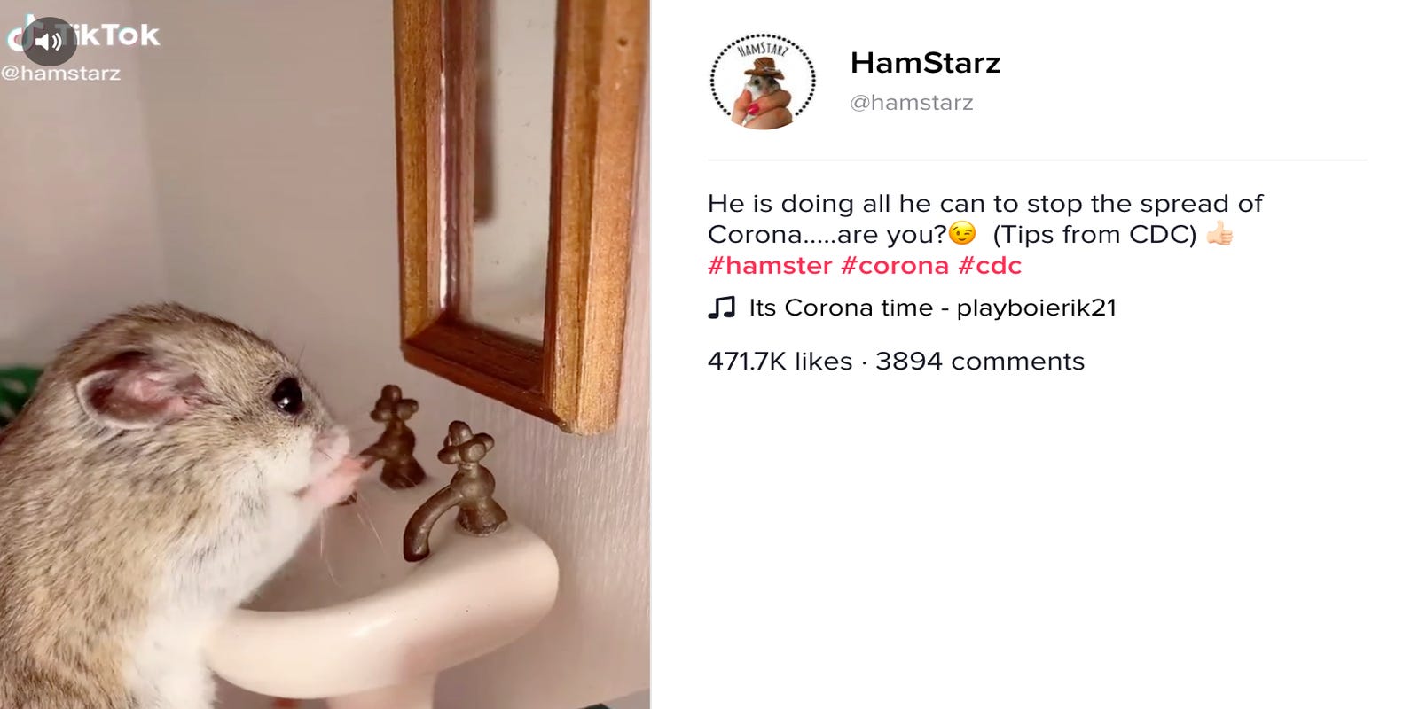 Coronavirus Memes Tiktok Twitter Jokes To Deal With Virus Anxiety