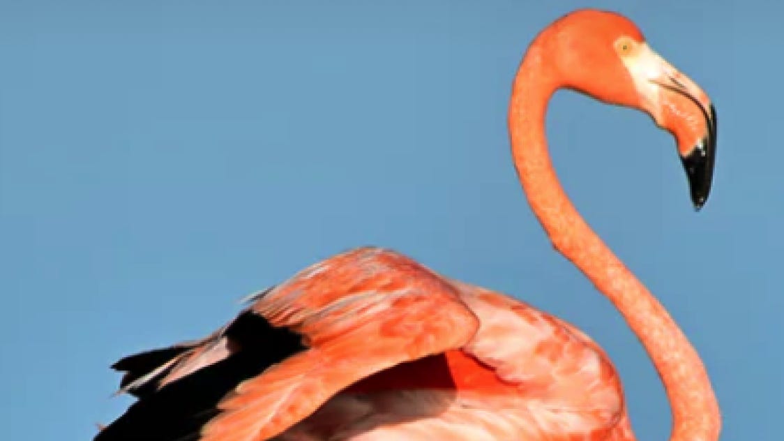 Tiktok Money Chart | TikTok is the popular app your kids use. Here's 5 cool ......  ‘Let’s All Get Wealthy’—Teen TikTok Merchants Need To Ship ...
 |Tiktok Money Chart