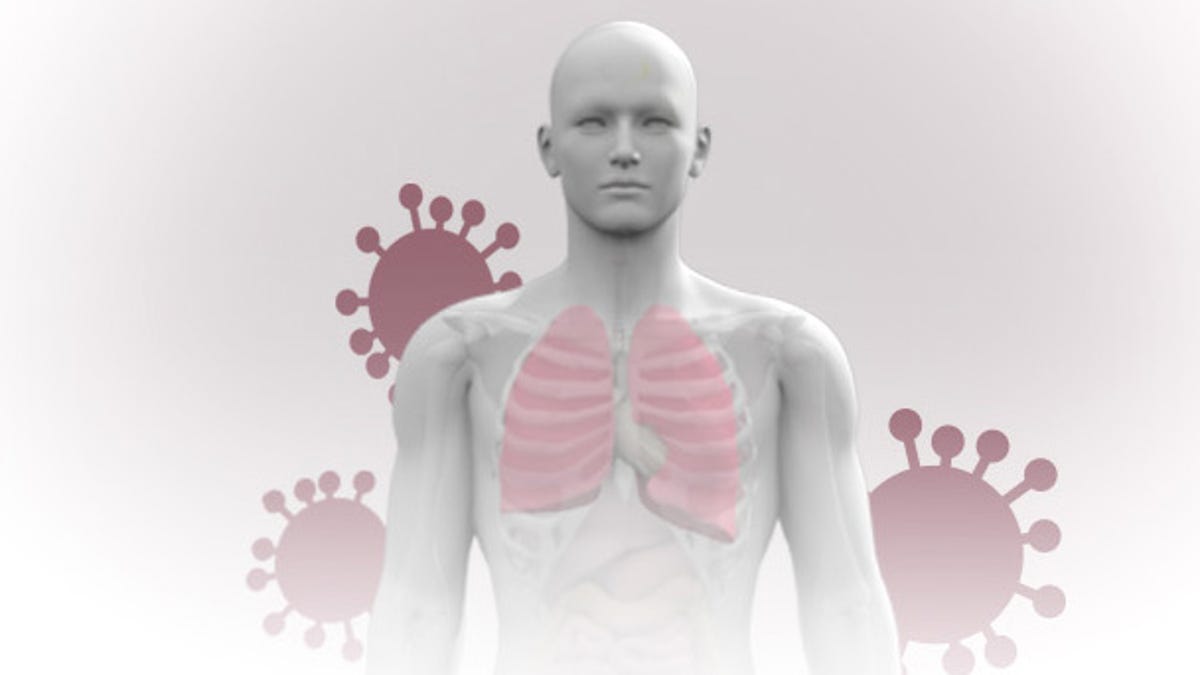 What coronavirus does to the body COVID infection process, symptoms
