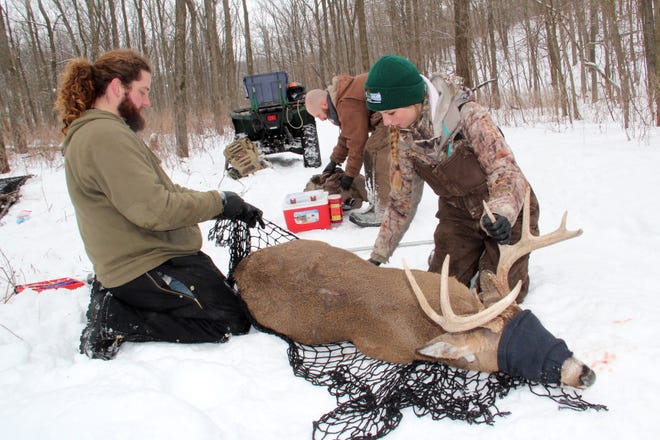 Wisconsin CWD, deer and predator research project in final year of ...