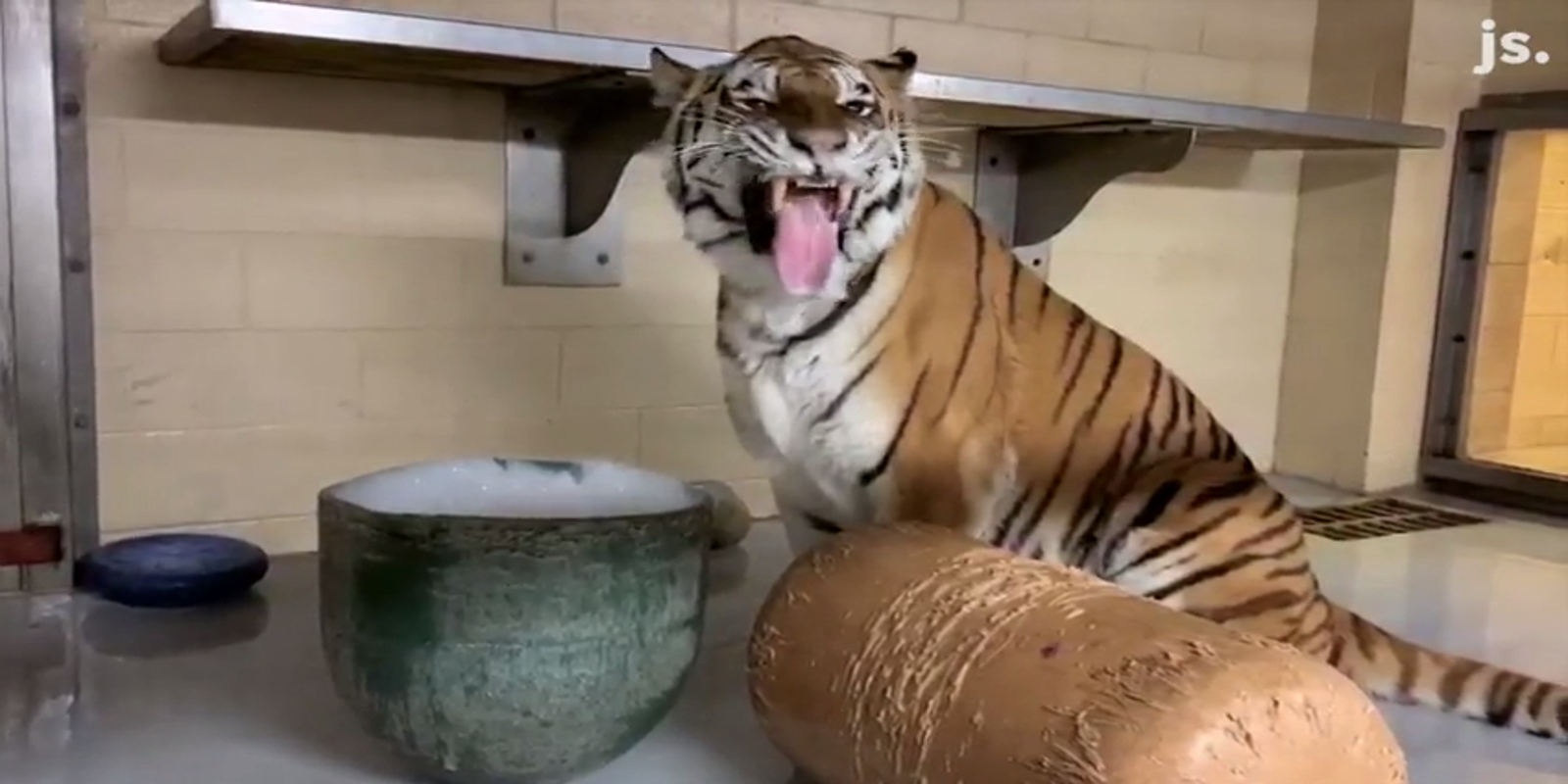 Milwaukee Zoo Free Days 2025