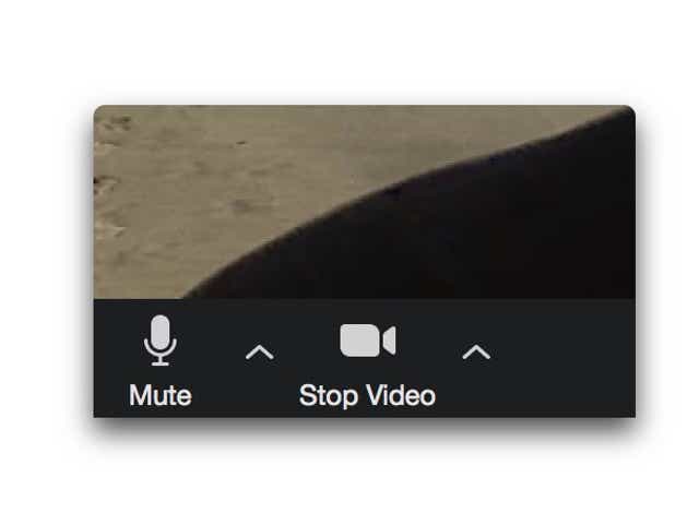 Zoom Tips 10 Tricks On How To Get Most Of It