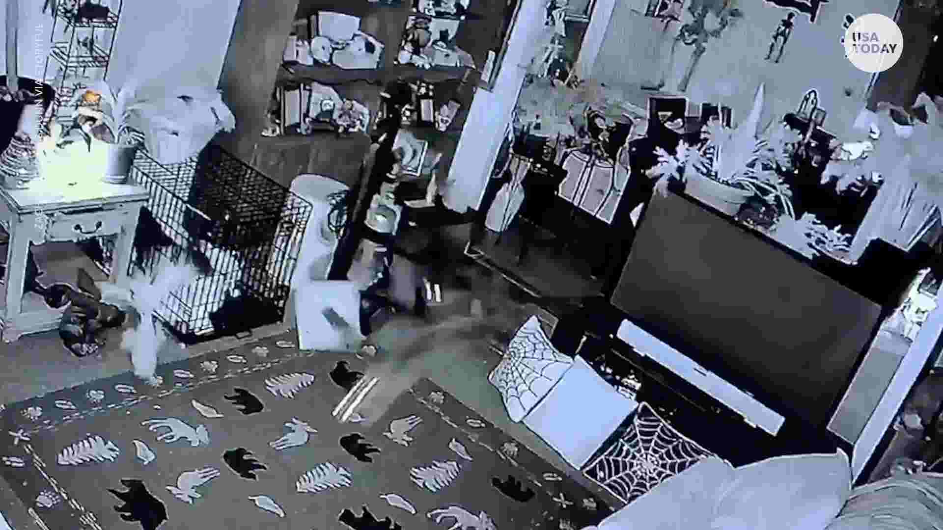 Earthquake 5.7 magnitude quake hits Salt Lake City, Utah