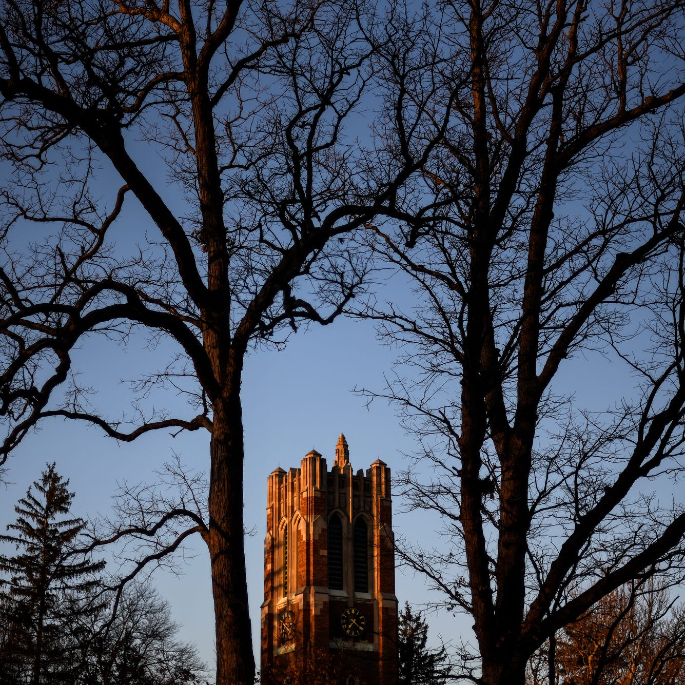 Student Sues Msu For Refunds After Classes Move Online Due To Covid 19