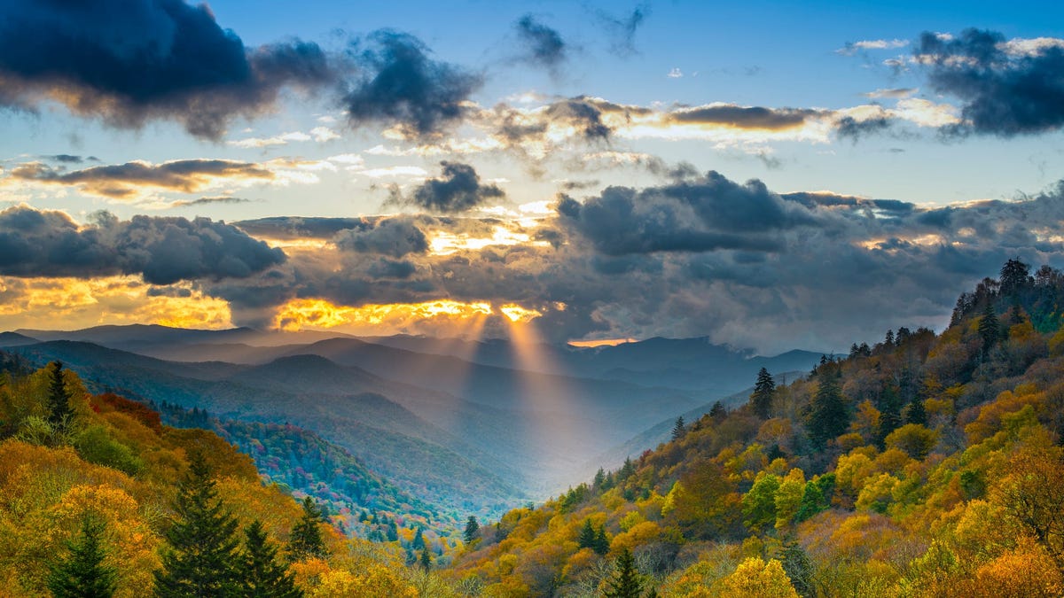 View of Newfound Gap
