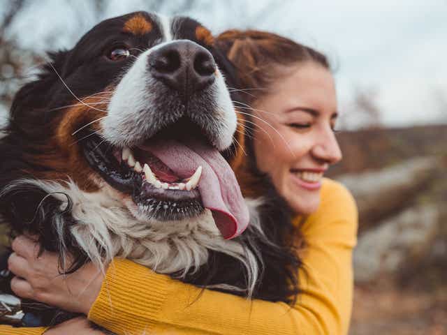 How To Keep Your Pets Safe And Happy During The Coronavirus Pandemic