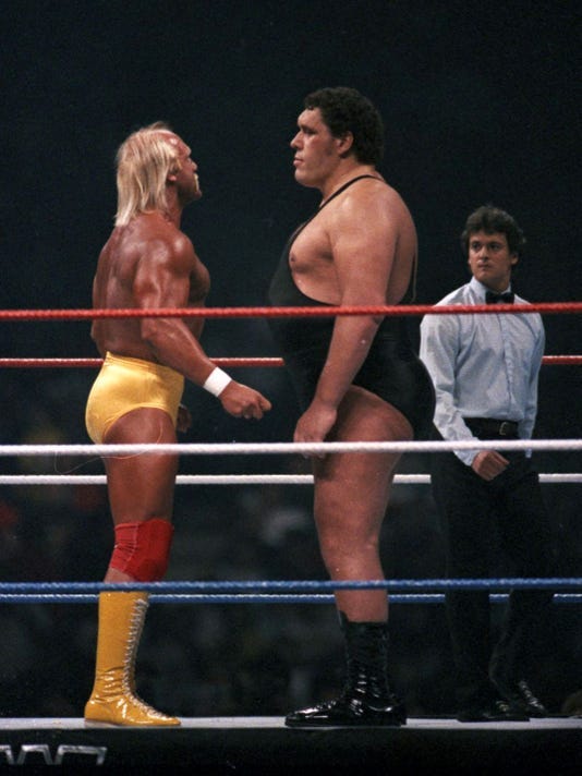 hulk hogan andre the giant