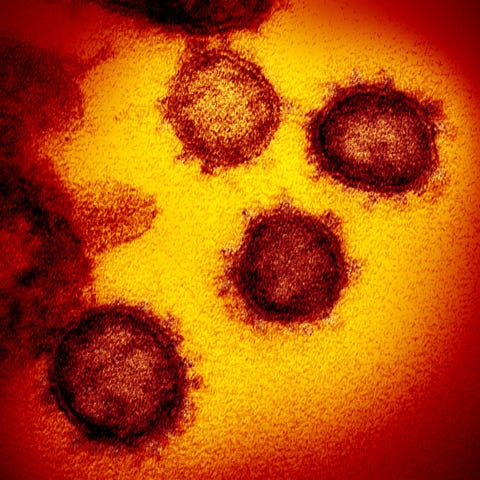 Coronavirus image