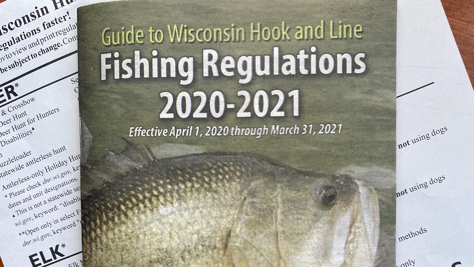 2025 Nys Fishing Regulations