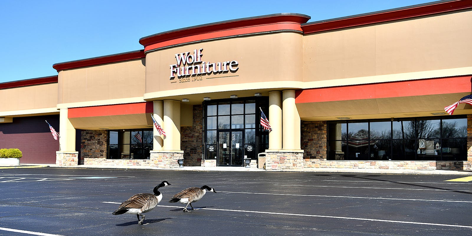 Wolf Furniture Stores Closing Owner Nixes Deal Due To Coronavirus