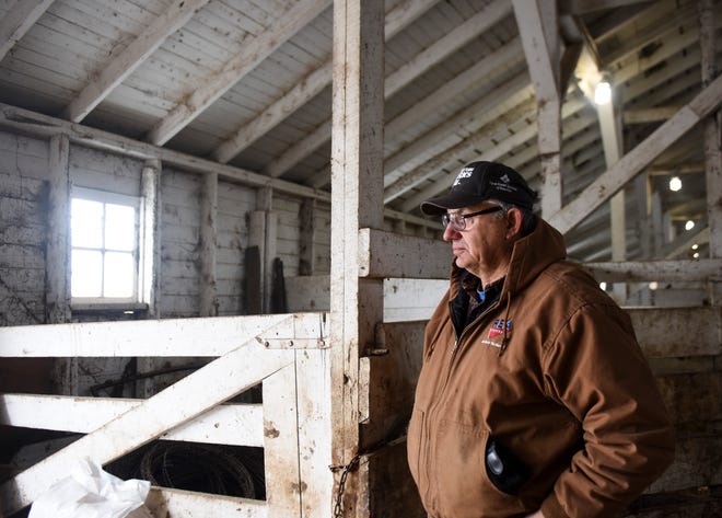 Walt Bones watches as cattle are moved onto a trailer on Saturday, March 21, 2020 in Parker, S.D. Although Bones kept an eye on the market and tried to implement risk management, he could not predict the impacts of the coronavirus.
