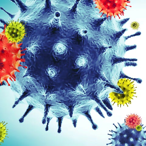 The novel coronavirus, or COVID-19. 