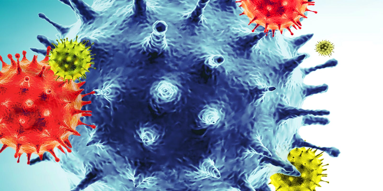 Coronavirus Florida Updates About Covid 19 In Lee County