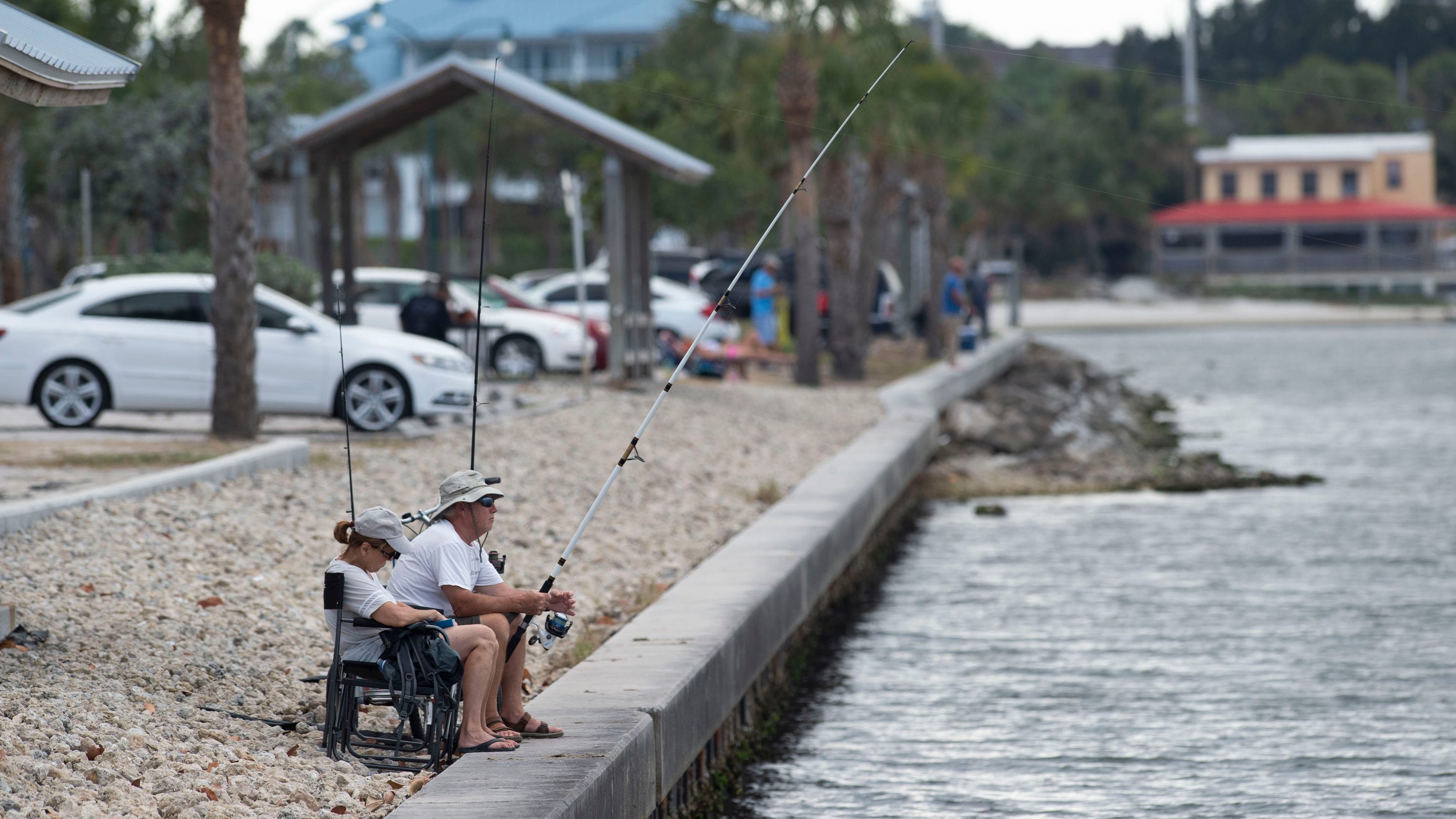Water quality: Indian River Lagoon, St. Lucie River are gorgeous, but seagrass is wiped out - TCPalm