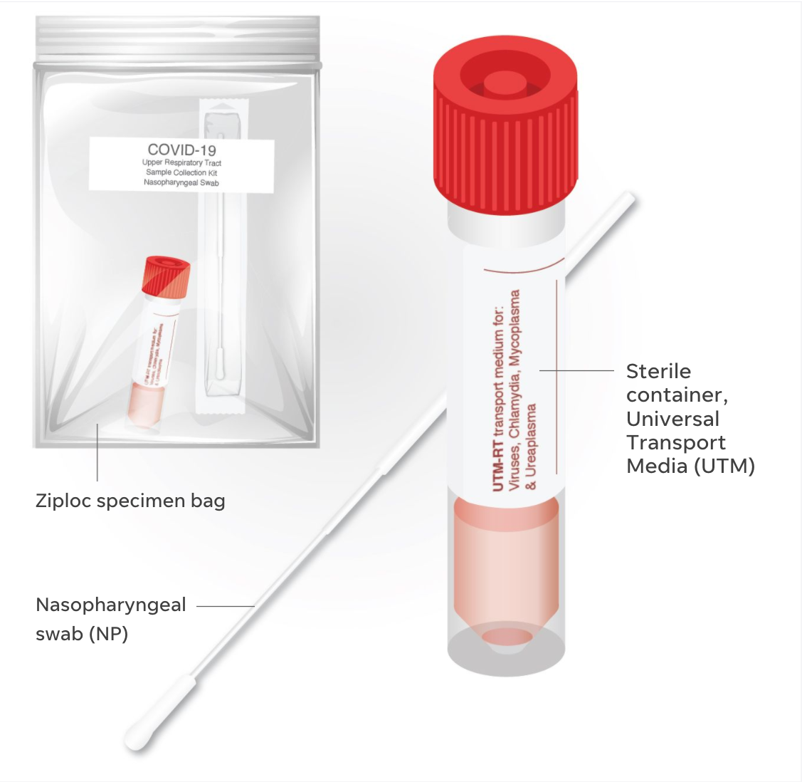 Swab test kit covid Coronavirus Testing