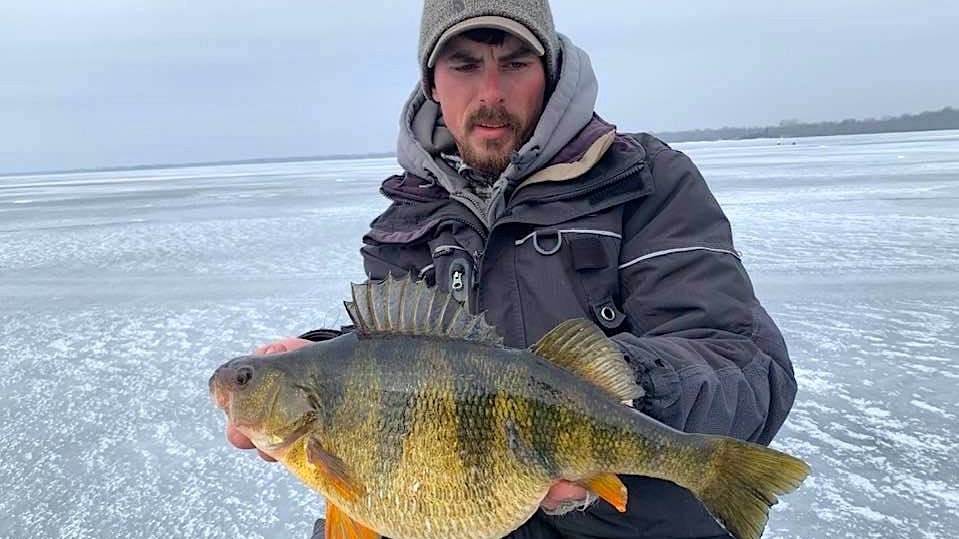 Giant Perch In Green Bay Creates A Wisconsin Fish Tale To Remember
