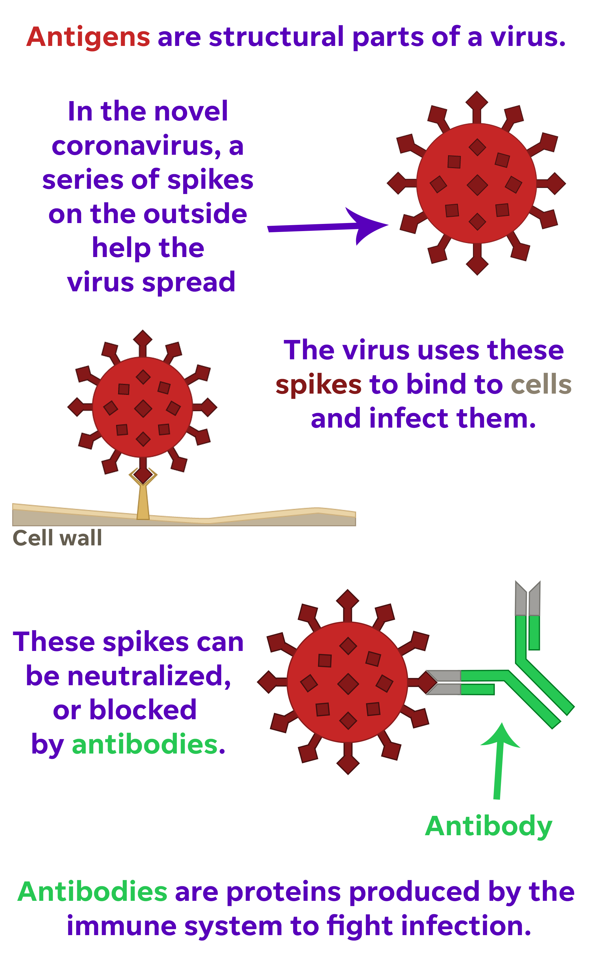 Who Would Win The Strong Human Immune System Some Little Flying