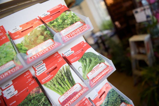 Start A Vegetable Garden In Tennessee And Grow Peppers Tomatoes