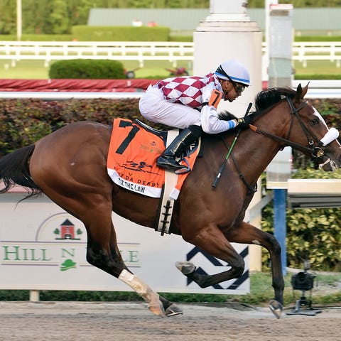 In this image provided by Gulfstream Park, Tiz the