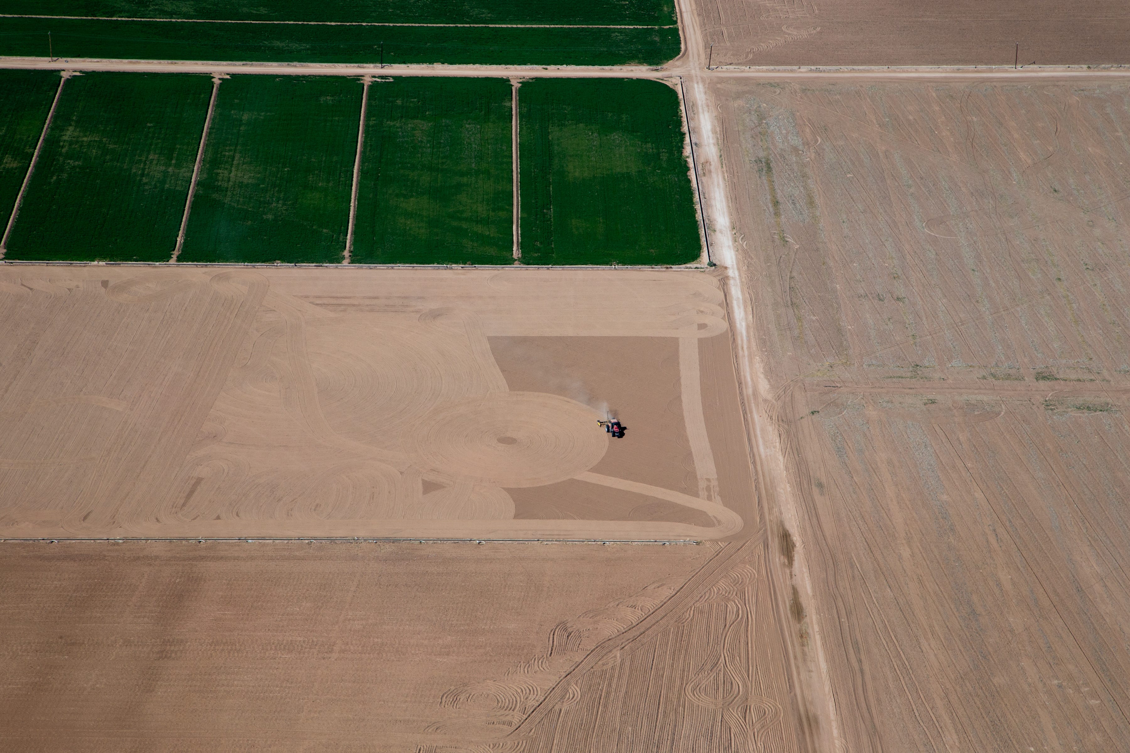 Agricultural land near the Colonia Miguel Alemán restoration area in Baja California, Mexico.