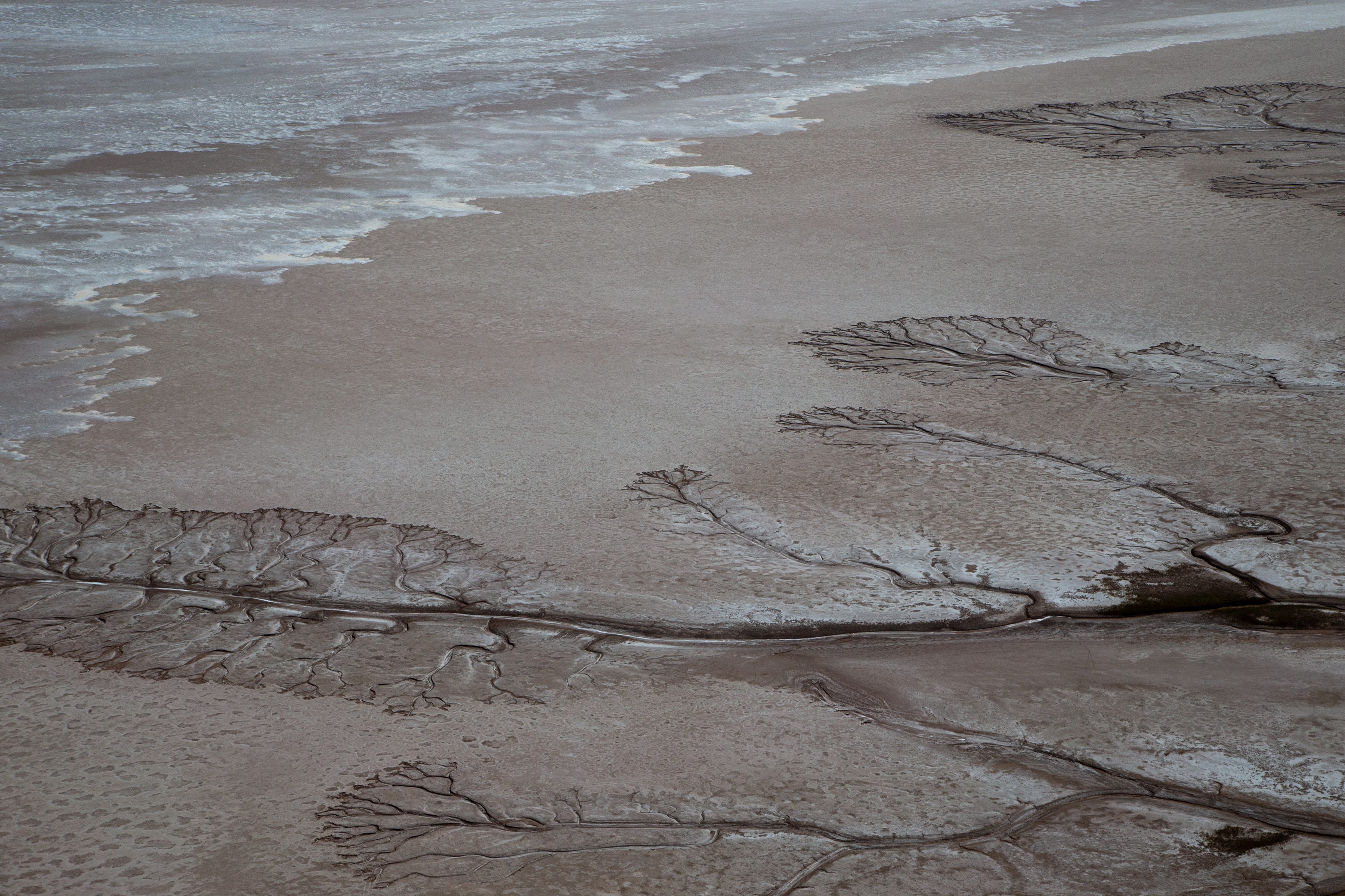 Isla Montague at the mouth of the Colorado River, where the delta meets the Gulf of California in Mexico.