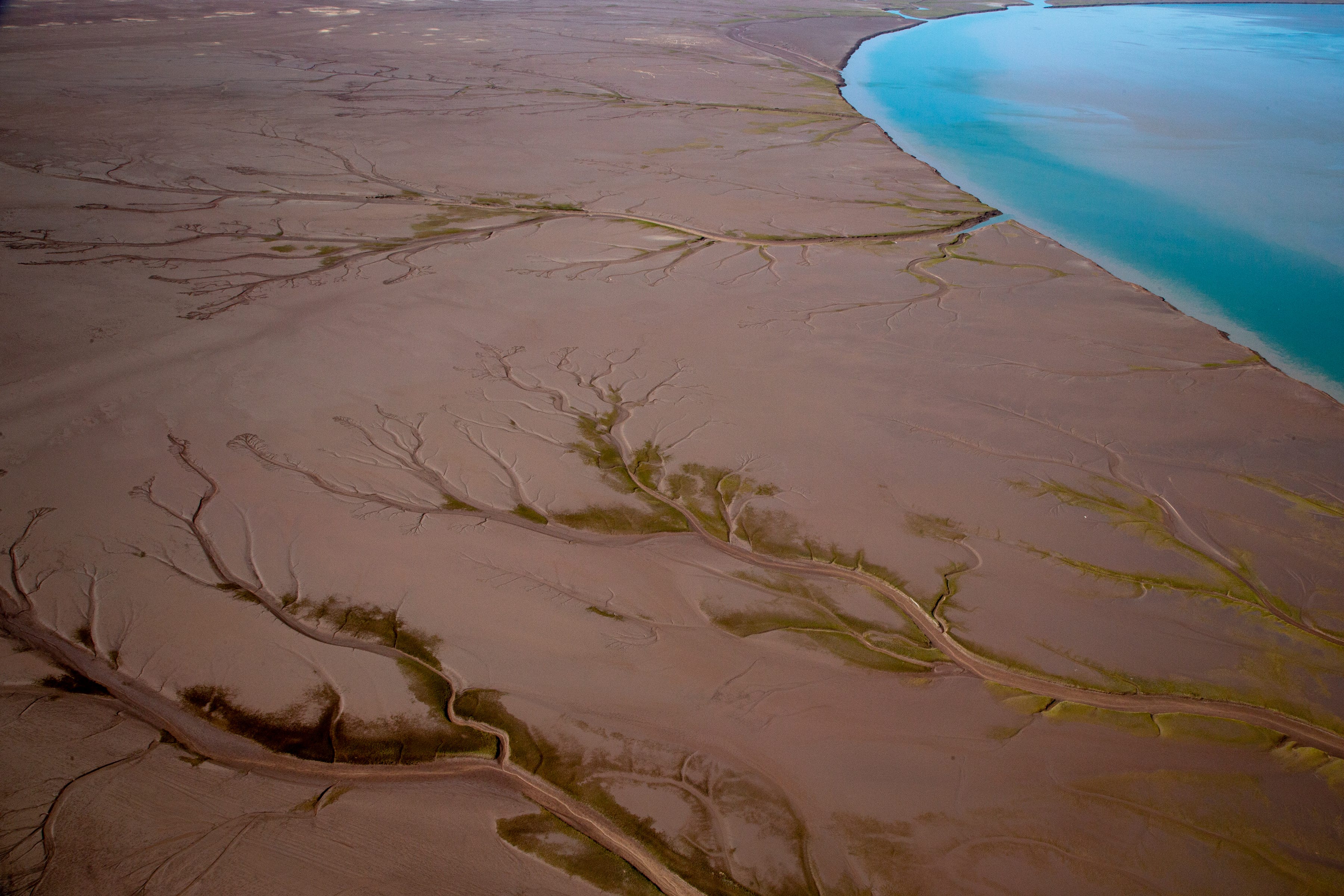 Serpentine patterns contrast with water along the Colorado River Delta's upper estuary tidal channel in Mexico.