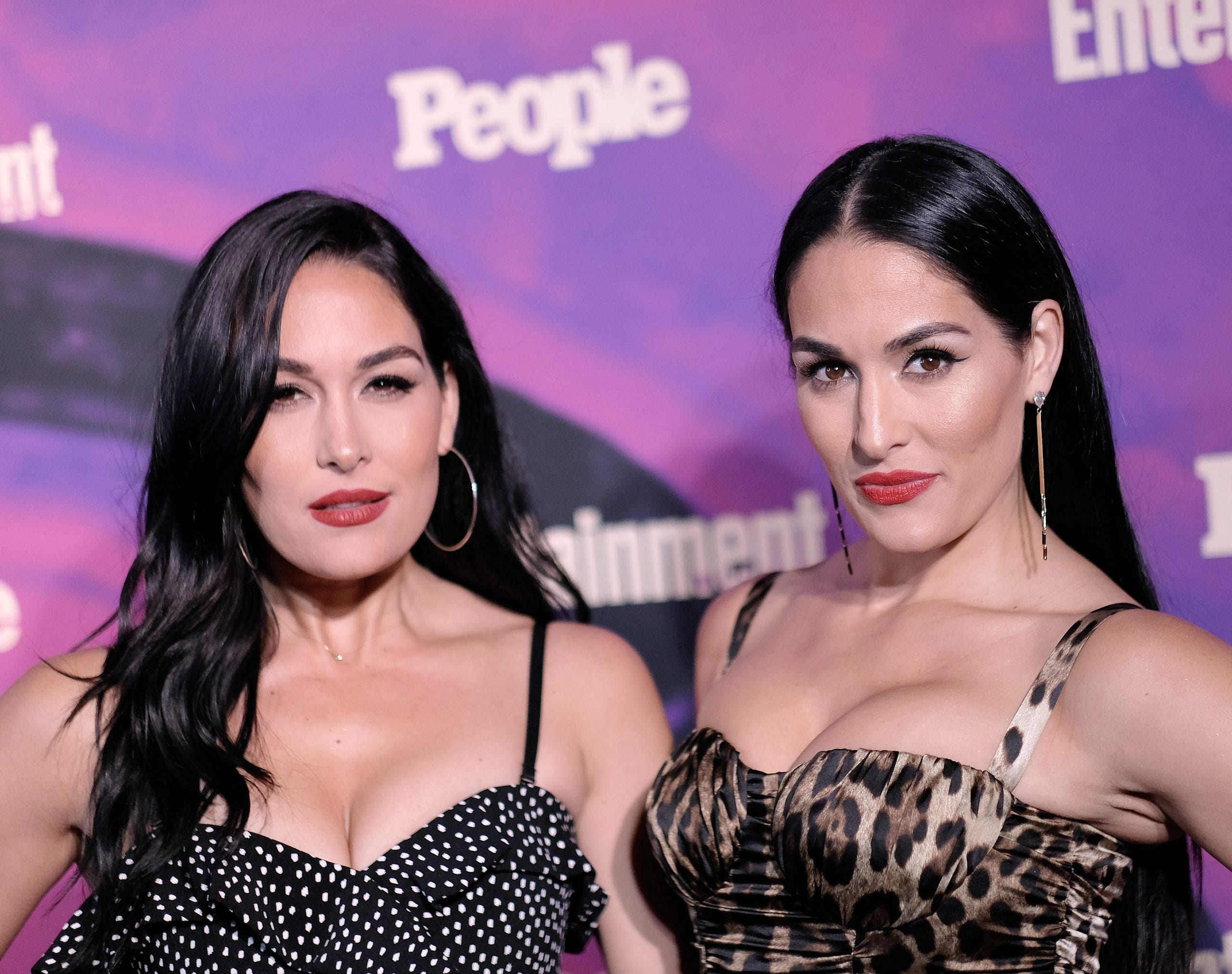 The Bella Twins Nikki And Brie Bella Through The Years