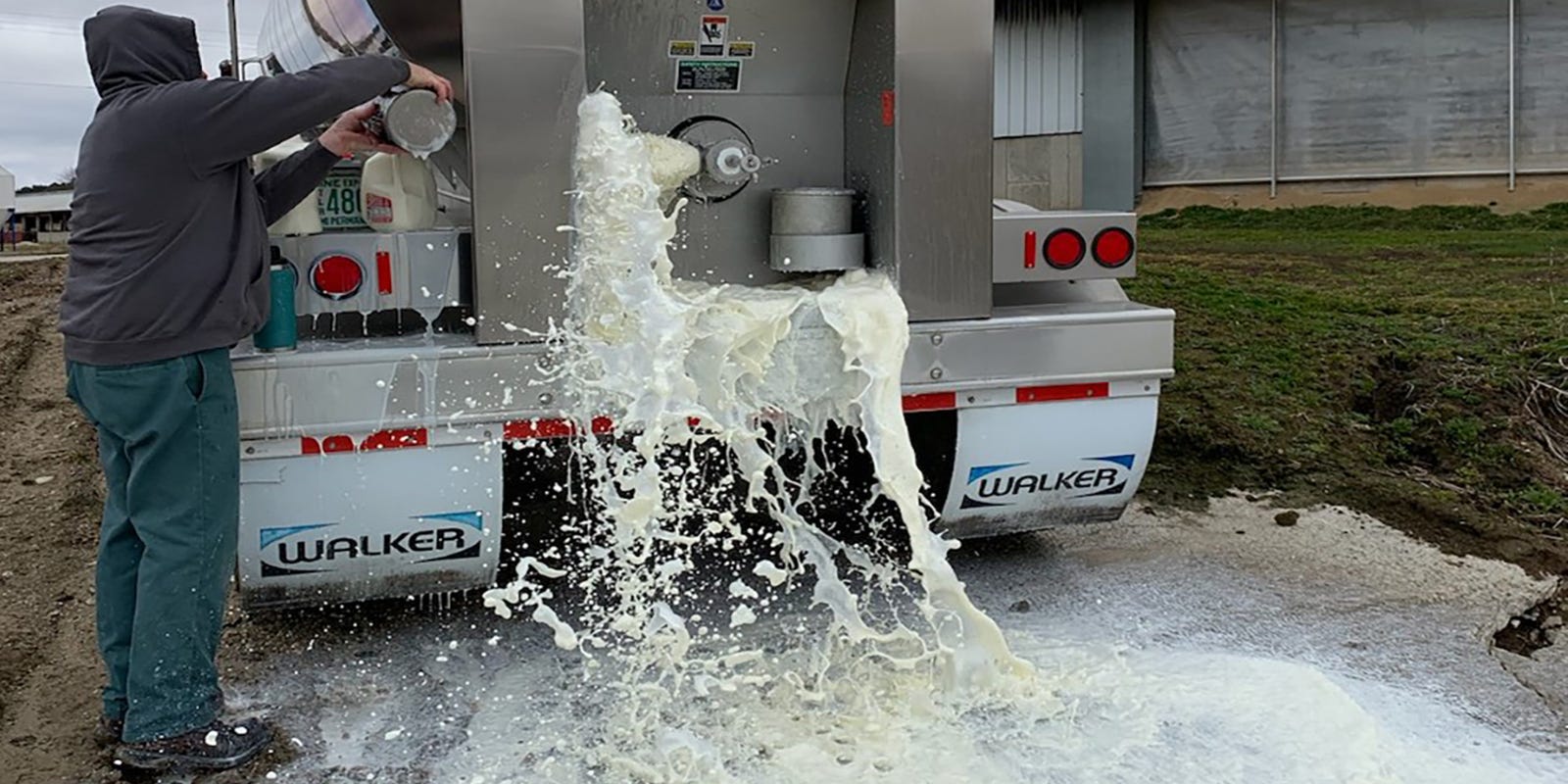 Coronavirus forces dairy farmers in Wisconsin to dump milk