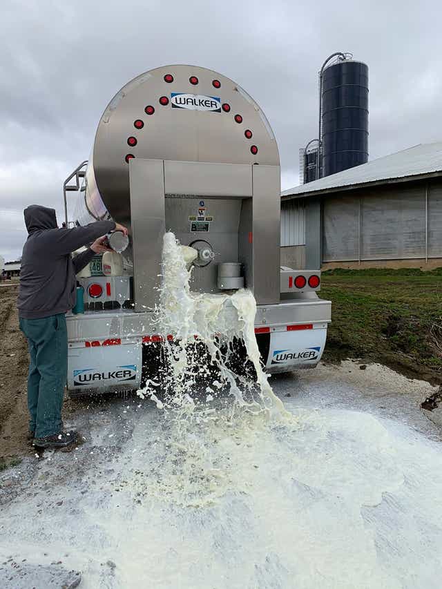 Coronavirus forces dairy farmers in Wisconsin to dump milk
