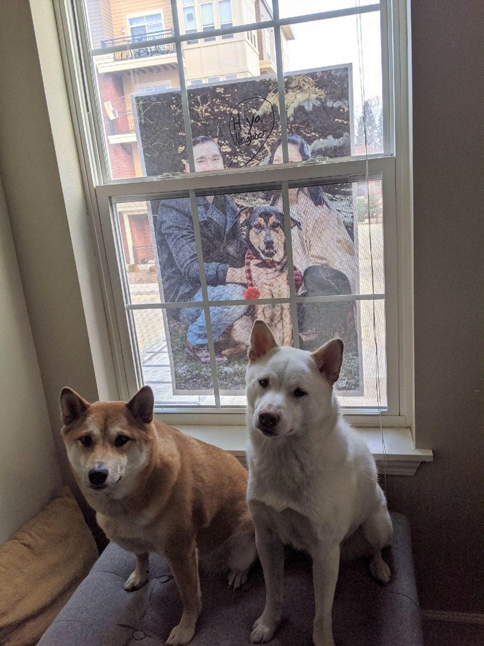 Coronavirus In Cudahy Bar Owner Pulls April Fools Pranks On Neighbor