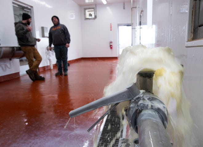 Ryan Elbe, left, and his father, Chris, talk in their milk house while fresh milk gushes down a drain Wednesday at the Elbe family's Golden E Dairy near West Bend. Because the dairy plant has more milk than it can process, the farm is forced to dump 25,000 gallons a day from its 2,400 milking cows.