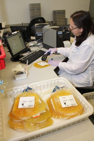 Blood plasma being processed at the New York Blood Center in New York City. Blood plasma contains antibodies that can fight diseases. An experimental treatment is being tried to use blood plasma from people who have recovered from COVID-19 to treat patients who are severely ill with the disease.