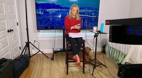 Coronavirus Nj Fox News Dana Perino Broadcasts From Her Bay Head