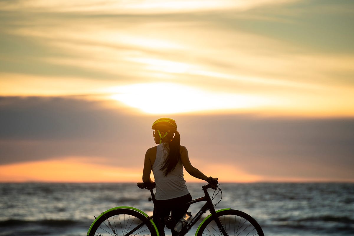 trek bicycles online