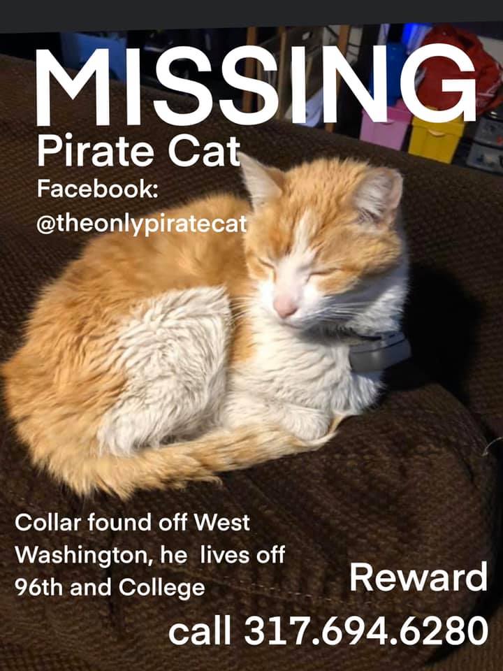 Monon S Famous Pirate Cat Is Found But Very Ill