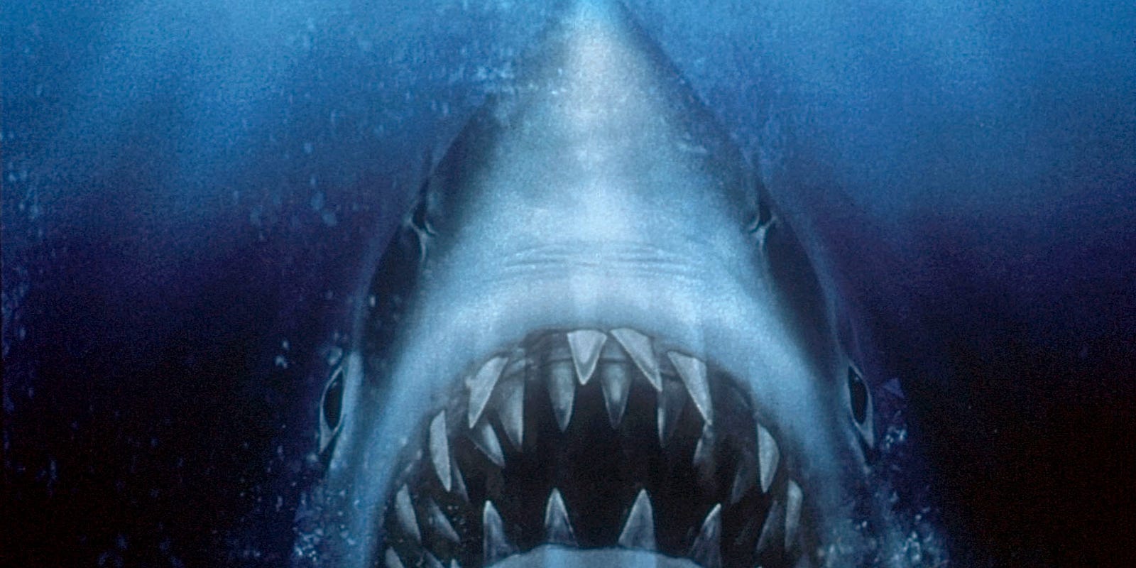 'Jaws' actress Lee Fierro, whose Mrs. Kintner slaps Chief Brody, dies